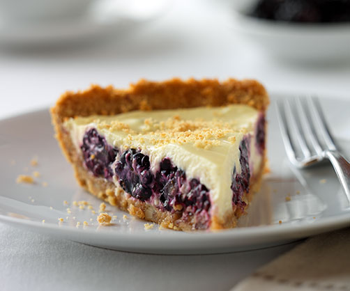 Blackberry Yogurt Pie